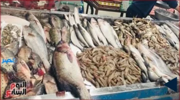 تحديث أسعار الأسماك في أسواق كفر الشيخ اليوم وتأثيرها على التضخم المحلي